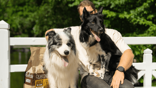 Neaizmirstiet seniorus! Kāpēc mājdzīvnieki vecumā nesaņem vajadzīgo aprūpi?