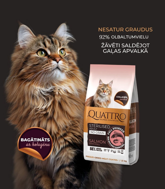 Quattro sausā kaķu barība ar lasi, krilu un kolagēnu pieaugušiem sterilizētiem kaķiem