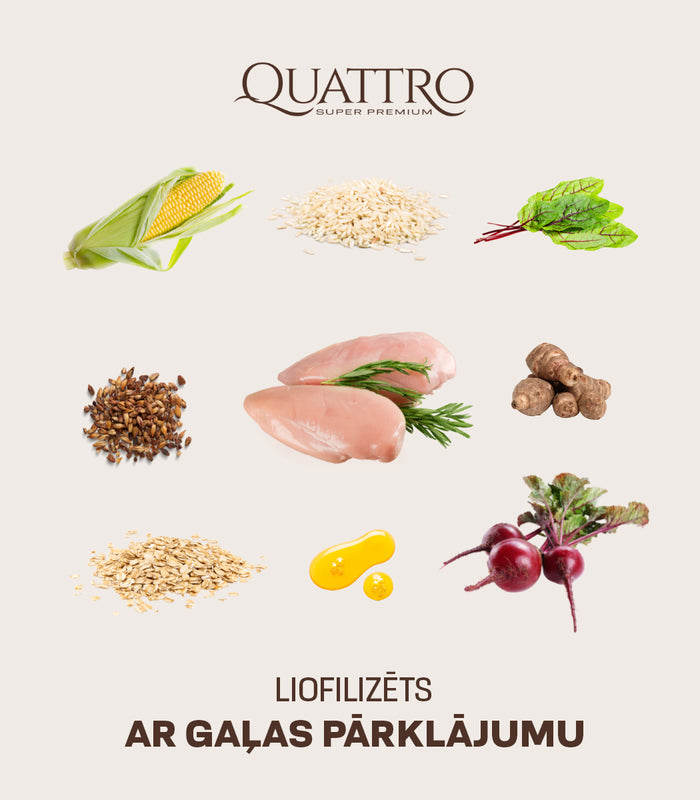 Visu šķirņu pieaugušo suņu barība ar mājputnu gaļu