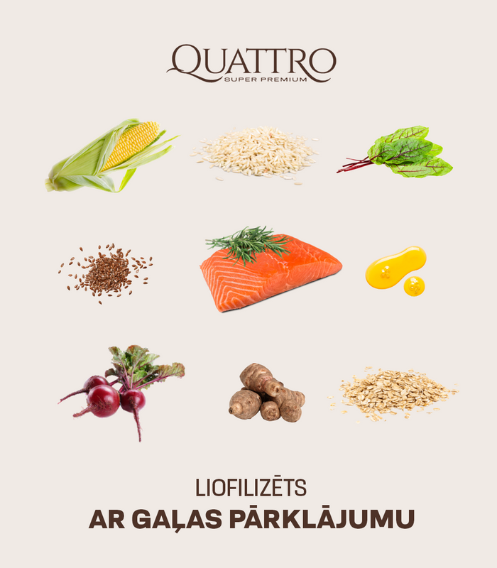 Visu šķirņu pieaugušo suņu barība ar lasi