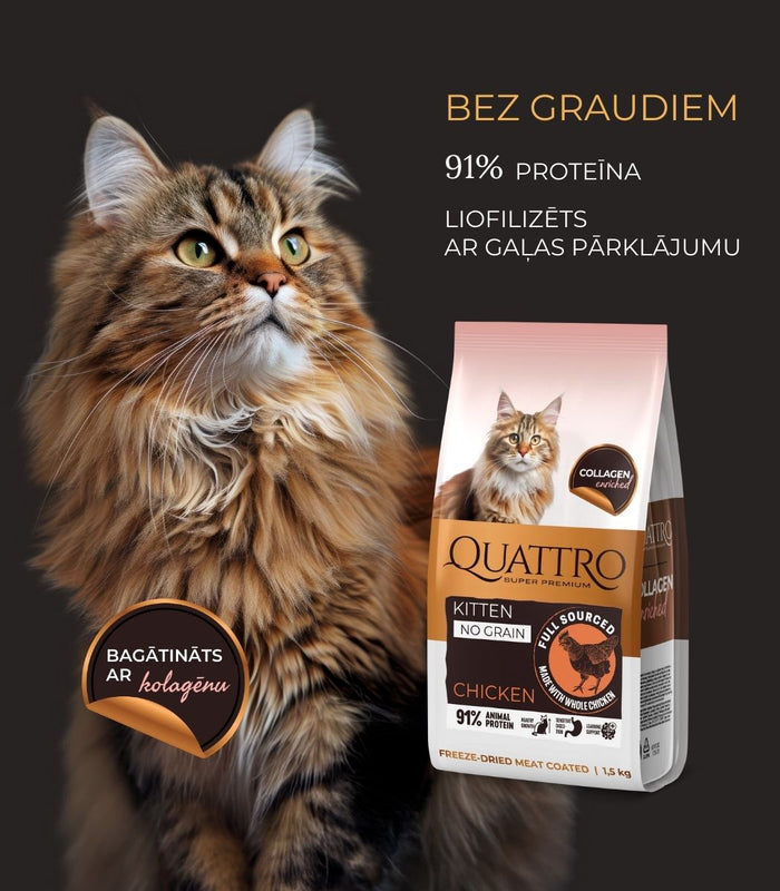 Quattro sausā barība kaķēniem ar vistas gaļu