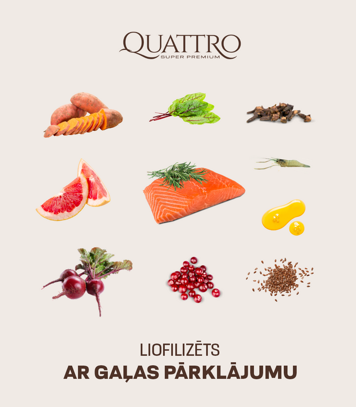 Dog food adult small breed no grain with salmon krill