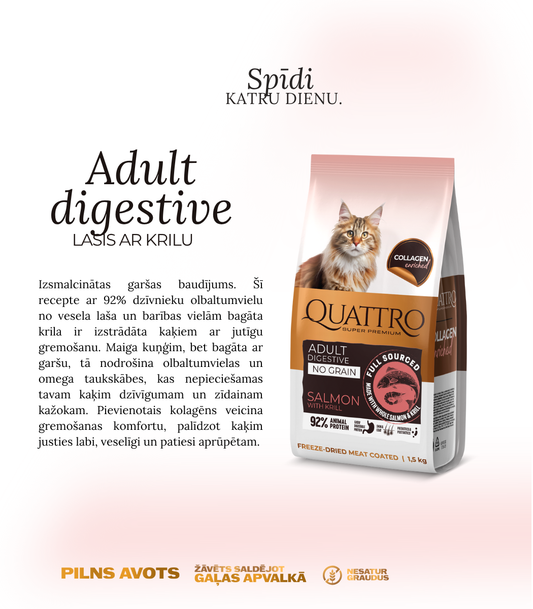 Paraugs: Quattro sausā kaķu barība ar lasi, krilu un kolagēnu pieaugušiem kaķiem ar jutīgu gremošanu