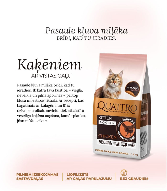 Quattro sausā barība kaķēniem ar vistas gaļu