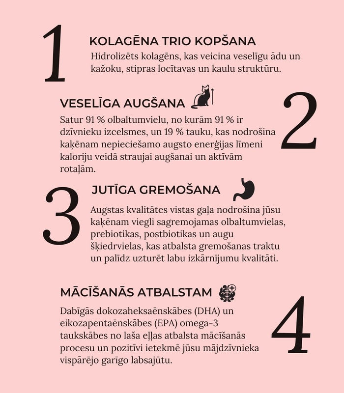 Quattro sausā barība kaķēniem ar vistas gaļu