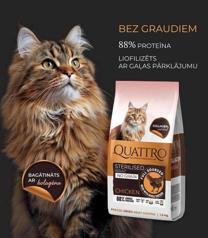 Quattro sausā kaķu barība ar vistas gaļu pieaugušiem sterilizētiem kaķiem
