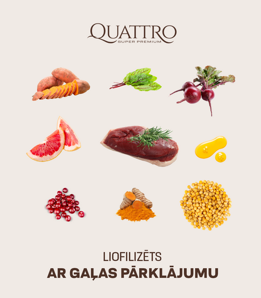 Visu šķirņu pieaugušo suņu barība bez graudiem ar pīles gaļu 1kg+0.5kg
