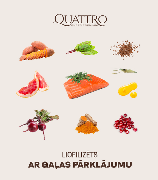 Visu šķirņu pieaugušo suņu barība bez graudiem ar lasi un krilu 1kg+0.5kg