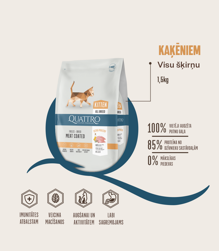 Visu šķirņu kaķēniem barība ar mājputnu gaļu