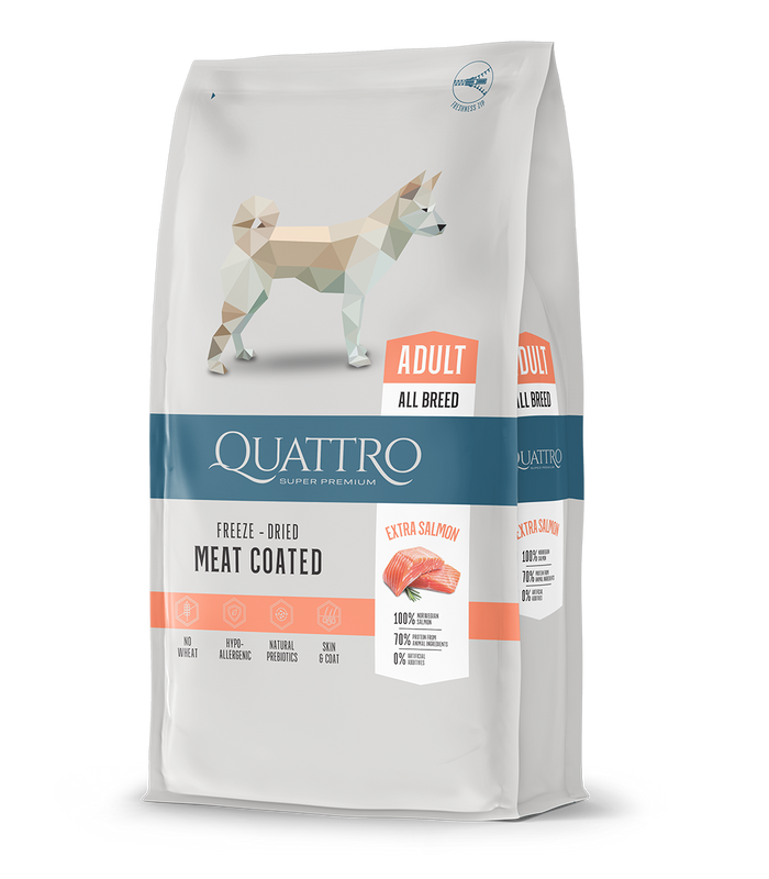 Dog food adult all breed with salmon