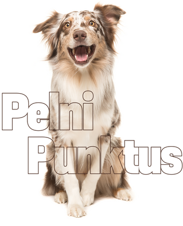 Pievienojies tagad un sāc pelnīt labumus!